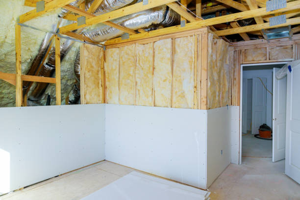 Best Eco-Friendly or Green Insulation Solutions  in Combes, TX